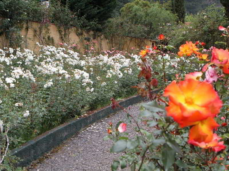 Pestana Quinta Do Arco Nature & Rose Garden Hotel Arco de São Jorge Extérieur photo